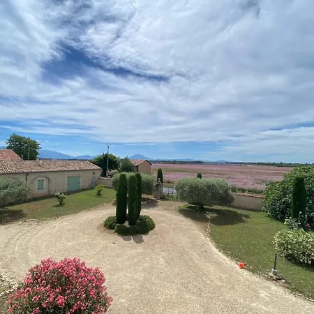 04b7 Beautiful T3 In The Heart Of Lavender - Pool * Brunet